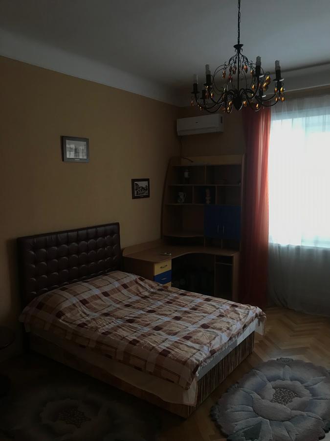 Apartment On Hoholya Street Чернивци Екстериор снимка