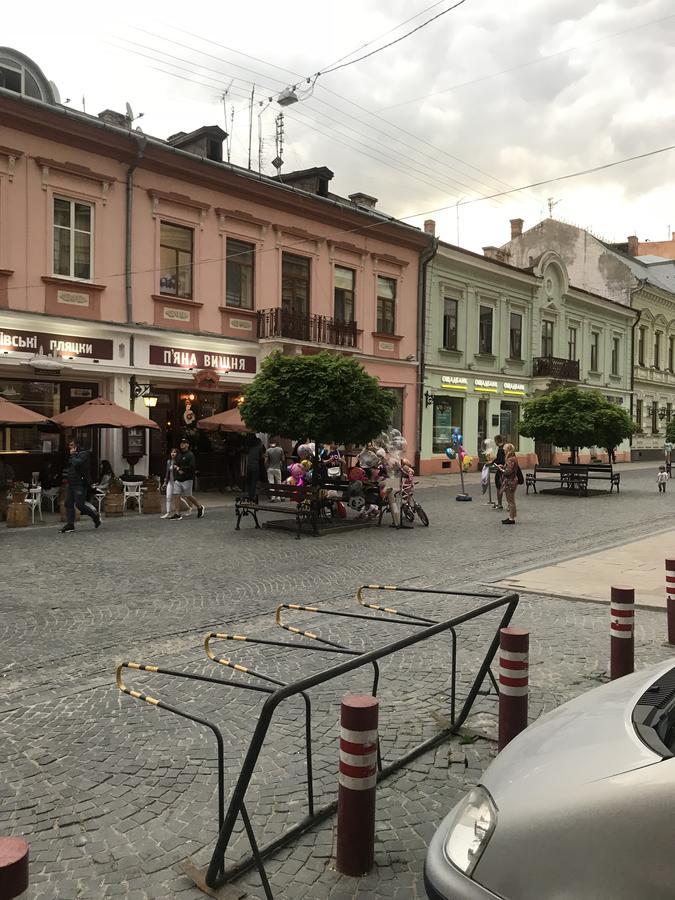 Apartment On Hoholya Street Чернивци Екстериор снимка