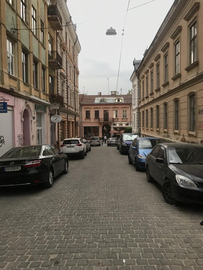 Apartment On Hoholya Street Чернивци Екстериор снимка
