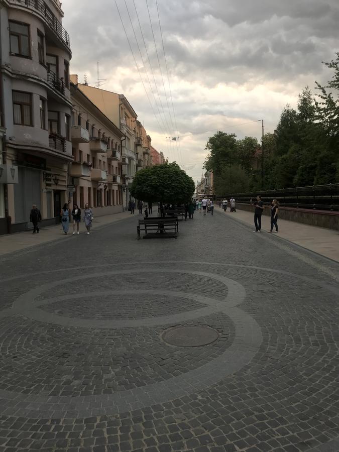 Apartment On Hoholya Street Чернивци Екстериор снимка